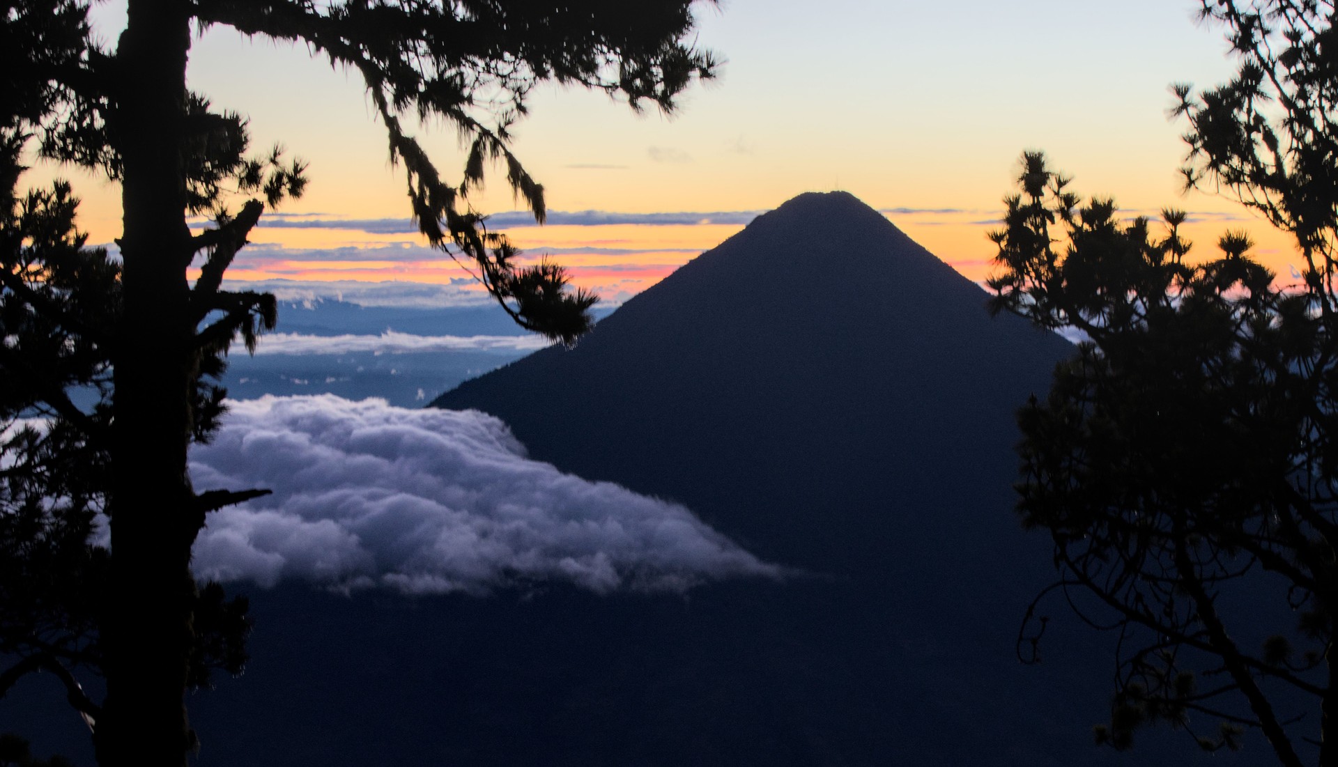 beautiful landscape view of guatemalan highlands mountains with pine trees and vulcan de agua volcano from acatenango basecamp (hike hiking trekking) famous travel destination sunrise sun shine trees